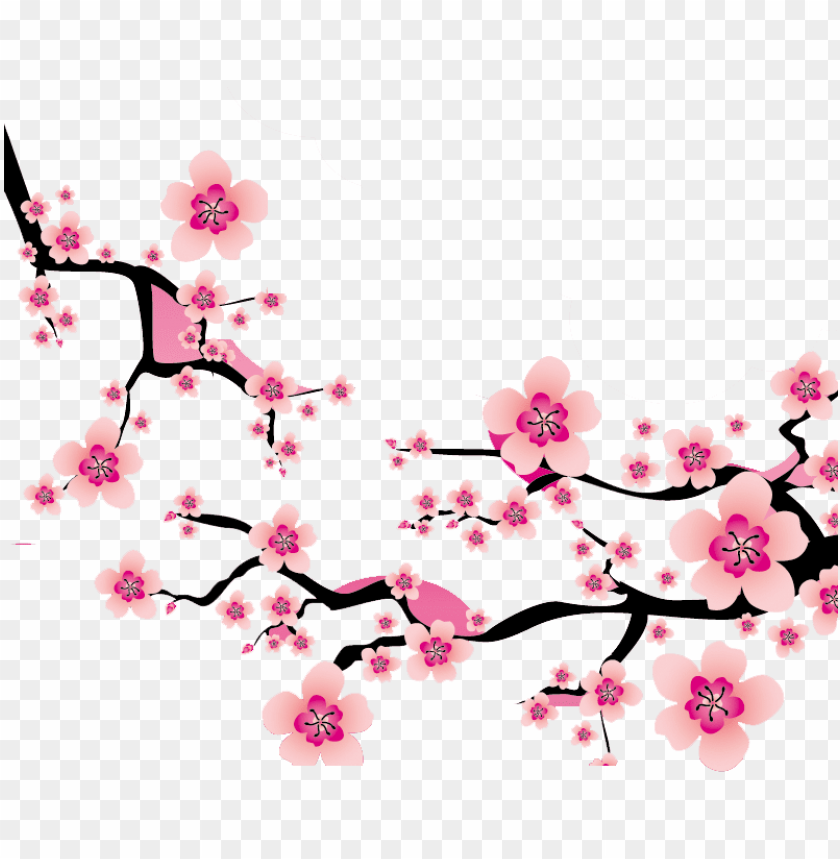 Download Sakura Blossom Clipart Plum Flower Cherry Blossom