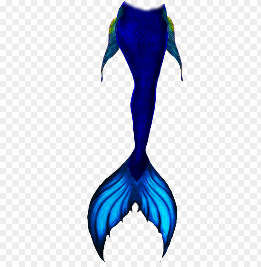 Download Sketch Mermaid Tail Draw Png Free Png Images Toppng - roblox mermaid tail