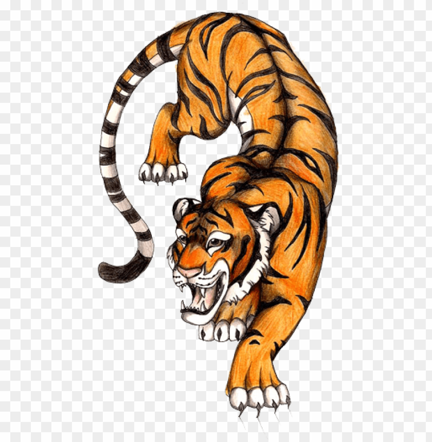 Tiger Cartoon png download - 864*748 - Free Transparent Tiger png