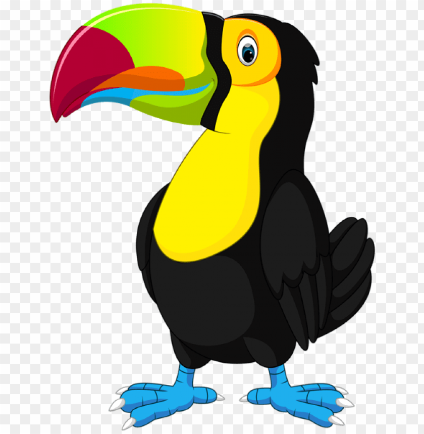Download Toucan Cartoon Png Free Png Images Toppng - downloadduck how to get the blue bird on roblox