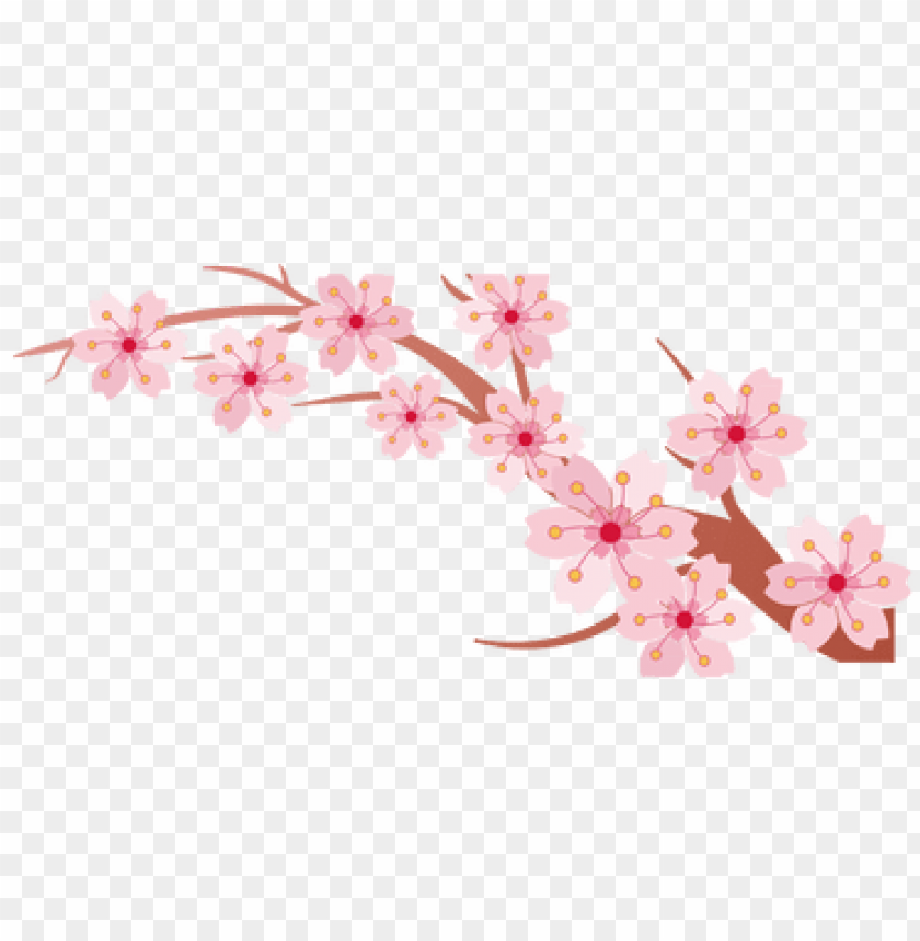 Download Tree Branch K Pictures Full Hq Painted Cherry Blossoms Flower Line Png Free Png Images Toppng