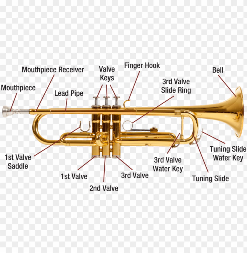 Download Trumpet Diagram Image Labelled Diagram Of A Trumpet Png Free Png Images Toppng - water trumpet roblox