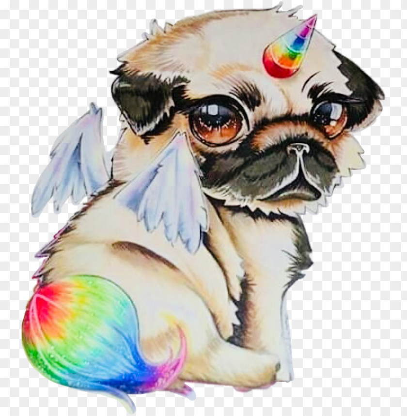 Download Unidog Rainbow Anime Chibi Kawaii Buntereihe Freetoedi Draw A Unicorn Do Png Free Png Images Toppng - cute kawaii pastel pink eyeball bow tie roblox