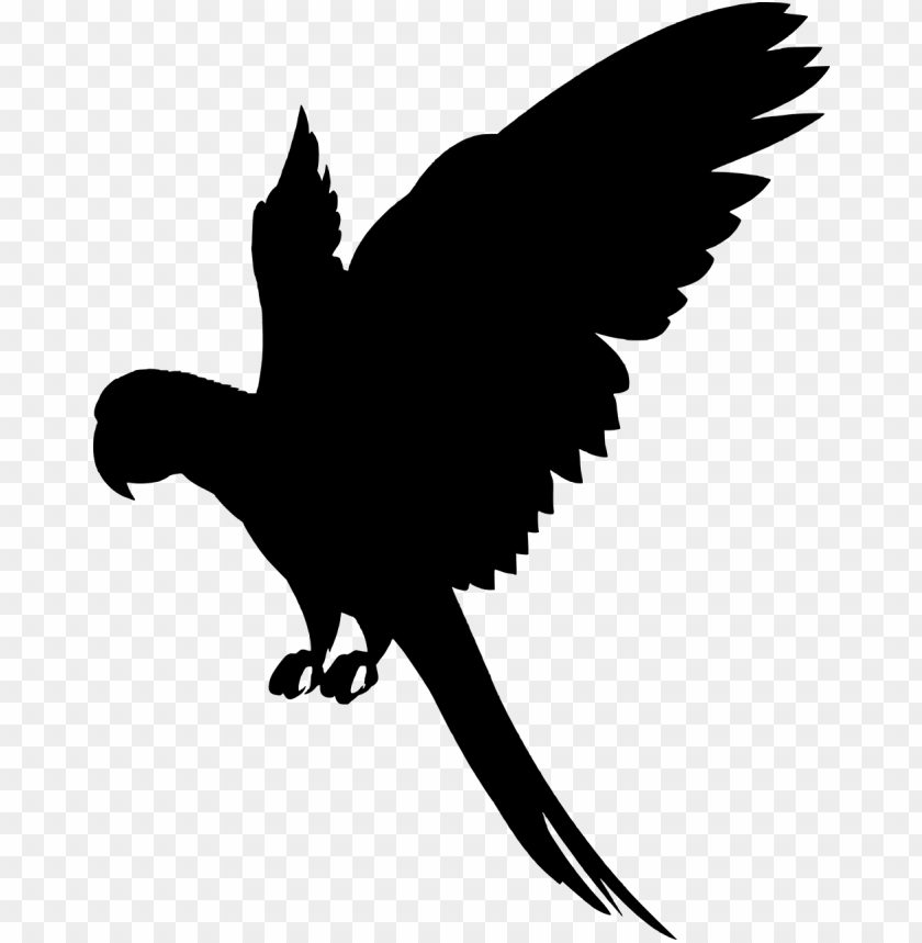 Download Vector Graphics Flying Parrot Silhouette Png Free Png Images Toppng - parrot wings roblox free