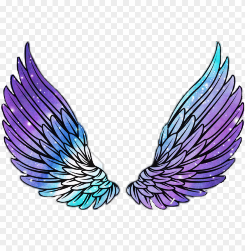 Download Download Wings Angel Angelwings Space Galaxy Stars Star Wi Png Free Png Images Toppng