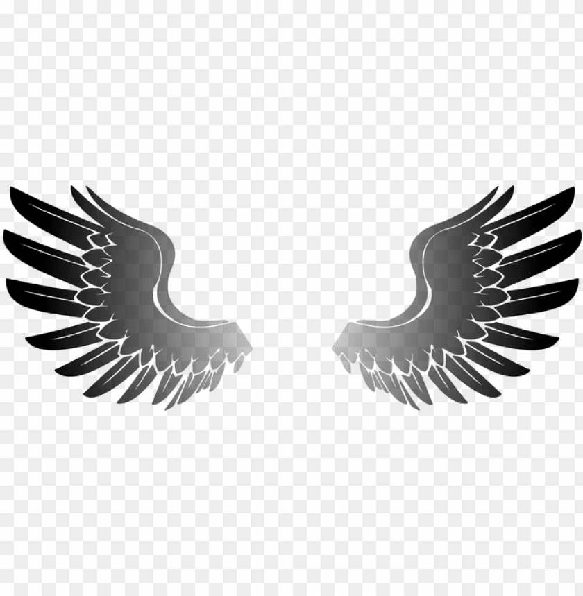 Download wings angel eagle bird wings wings wings w png - Free PNG Images |  TOPpng