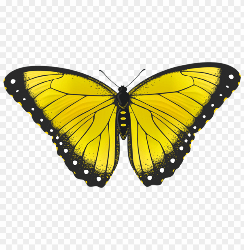 Free Free 221 Yellow Butterfly Svg SVG PNG EPS DXF File