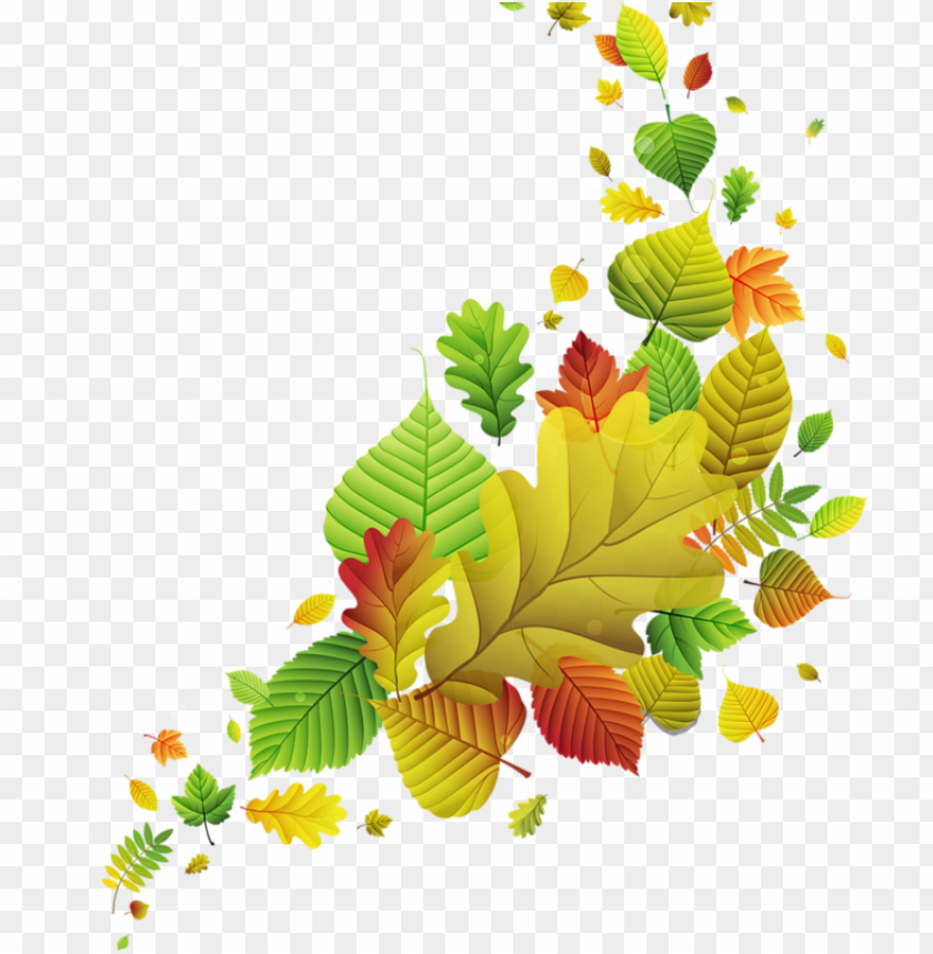 Free download | HD PNG tree leaves vector graphics PNG transparent with ...