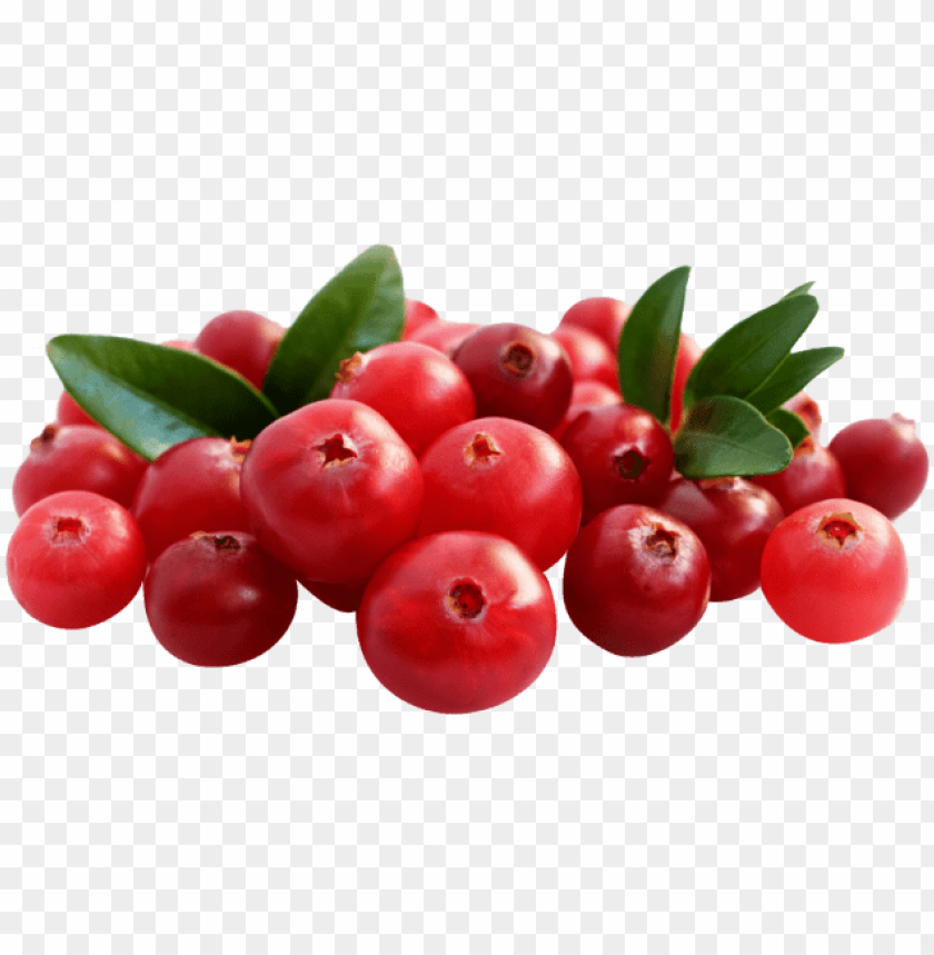 Download 1/2 kg chopped cranberries cranberry png Free PNG Images
