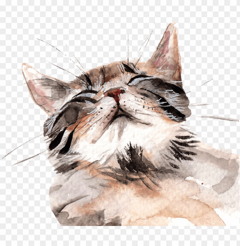 Watercolour Cats cutout PNG & clipart images | TOPpng