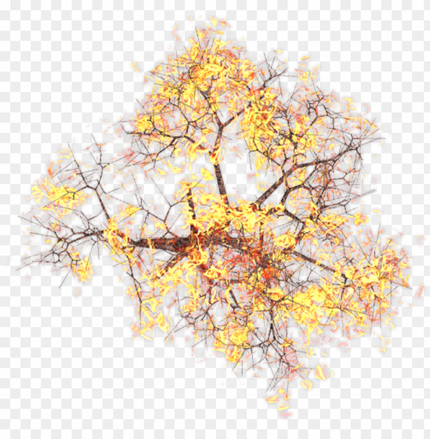 Free download | HD PNG 432k burningtreekpl 01 06 feb 2009 mountain ...