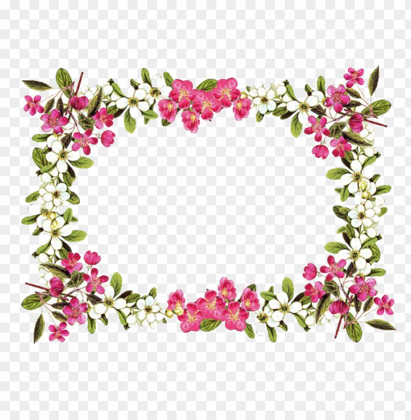 Download flowers borders png png - Free PNG Images | TOPpng