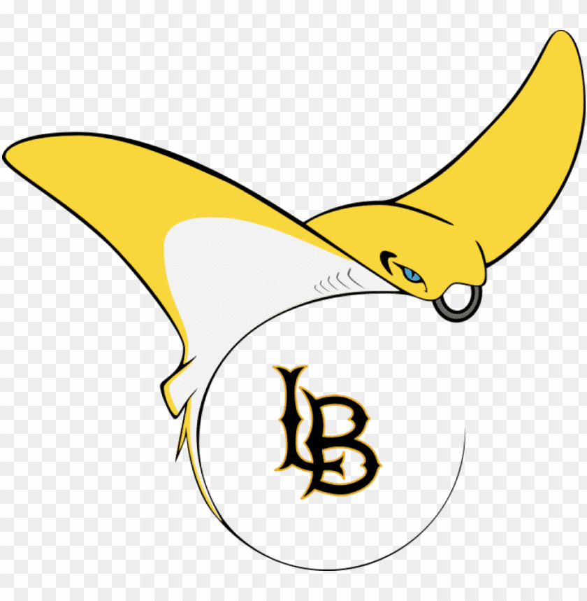 CAL STATE LONG BEACH TRANSFER DATES visual data 8