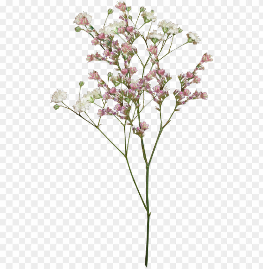 Aesthetic Flower Png Vintage Aesthetic Flower Png Image With Transparent Background Toppng - aesthetic roblox flower