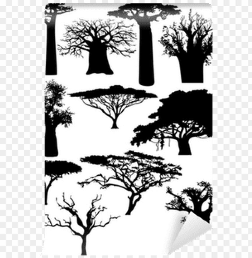 africa-tree-cutout-png-clipart-images-toppng