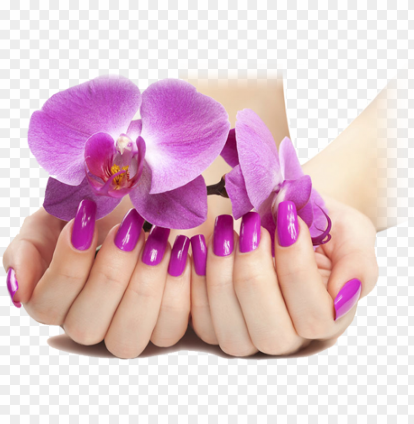 Free Download Hd Png Ails Manicure Png Nails Png Transparent With