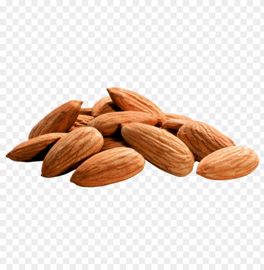 Download almonds png - Free PNG Images | TOPpng