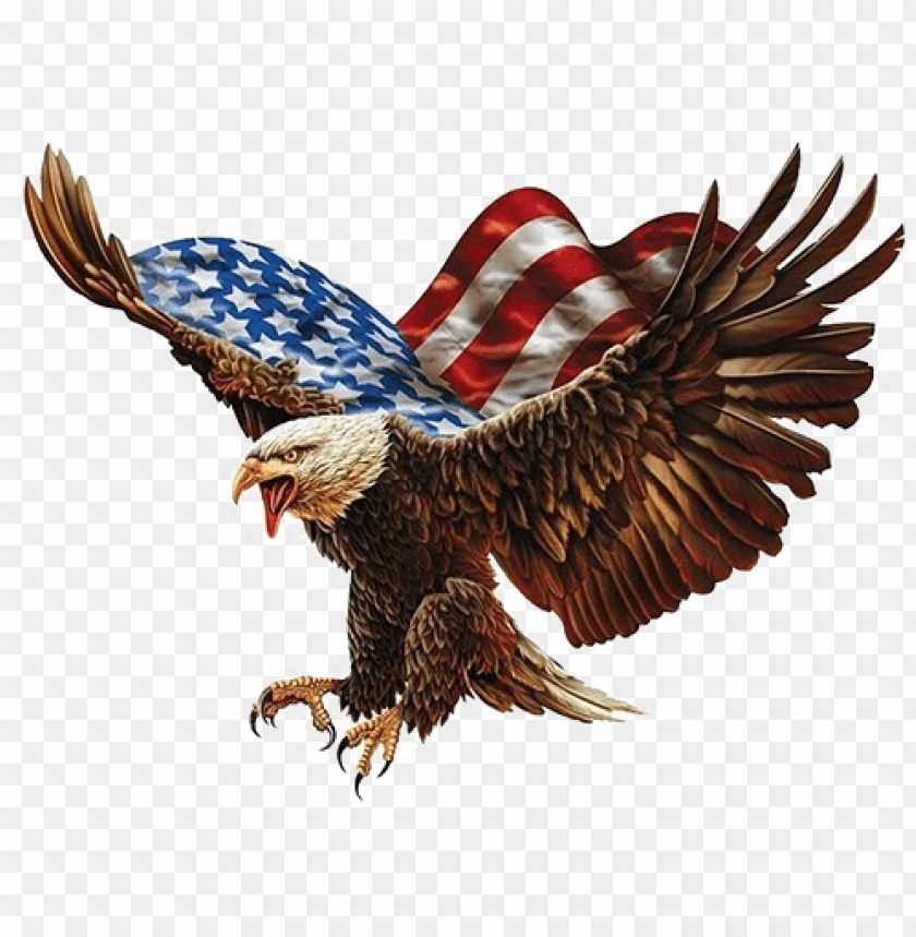 Free download | HD PNG american flag eagle png eagle billiards PNG ...