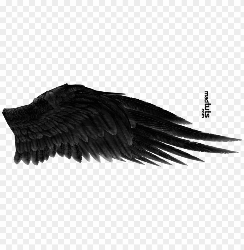 Download Angel Wing Png Black Angel Wings Png Image With Transparent Background Toppng