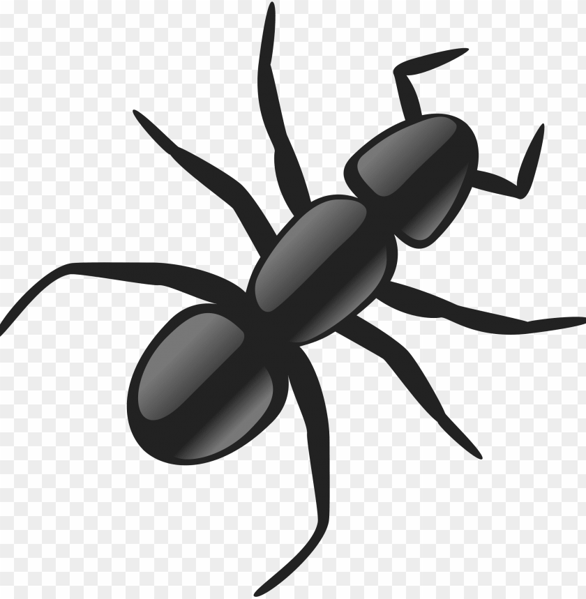 SCARICARE ANTS GRATIS