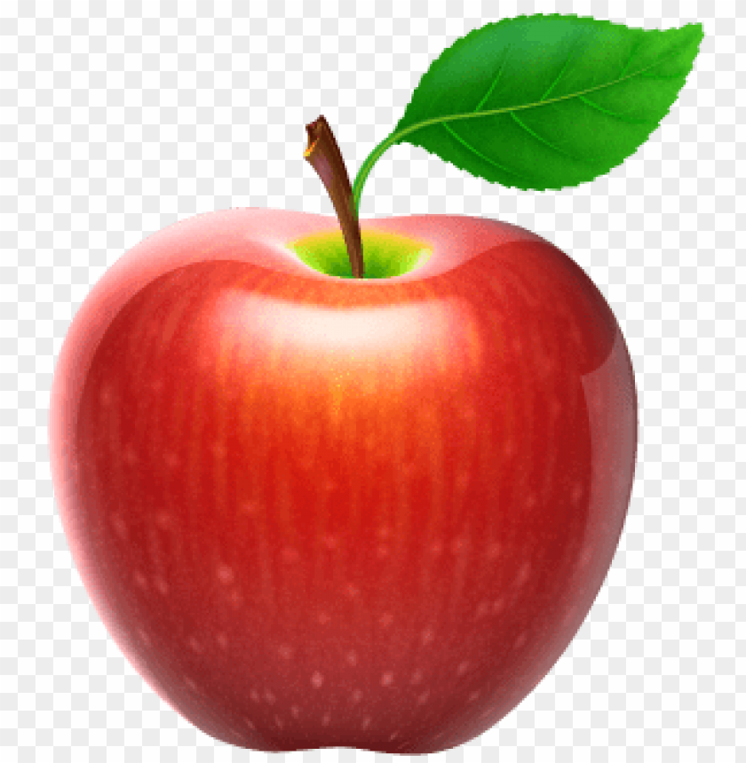 apple fruit png free png images toppng apple fruit png free png images toppng