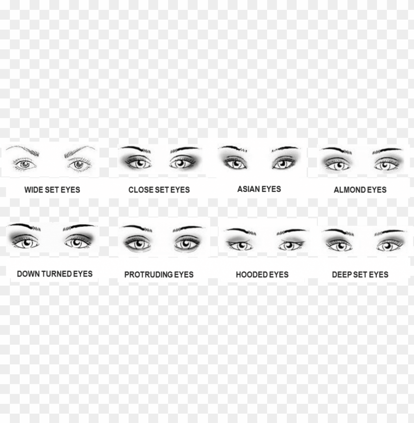 Free download HD PNG asian eyes vs almond eyes PNG transparent with