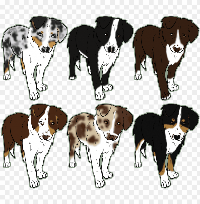 Free download HD PNG australian shepherd drawing easy PNG transparent