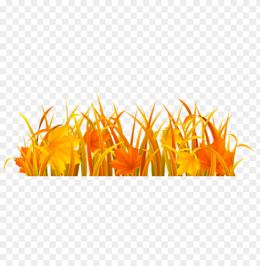 Free download | HD PNG autumn grass clipart png photo - 56085 | TOPpng