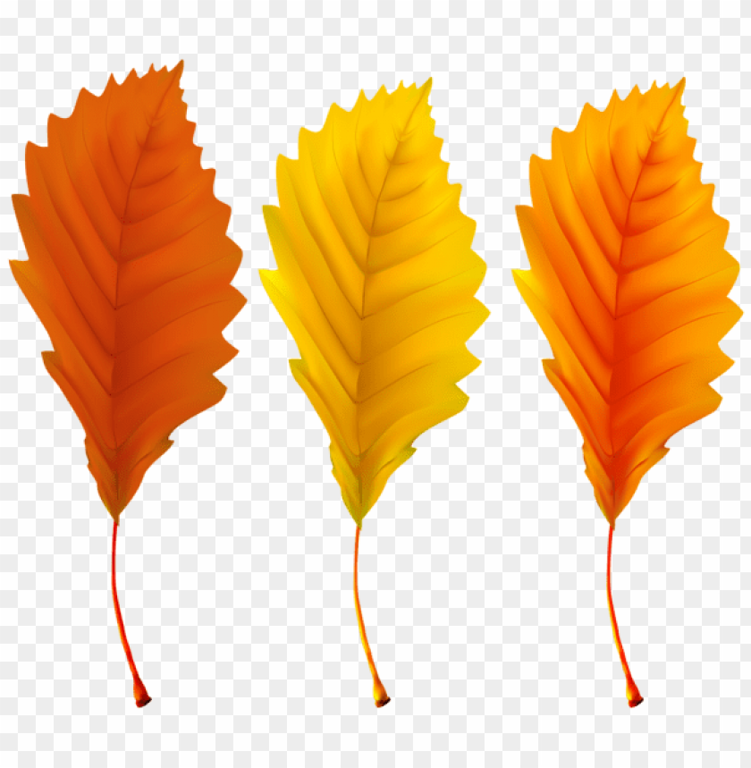 Free download | HD PNG autumn leaves clipart png photo - 52806 | TOPpng