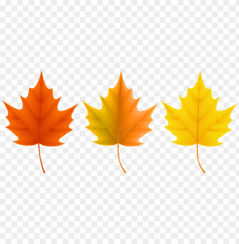 Free download | HD PNG autumn leaves set clipart png photo - 53632 | TOPpng