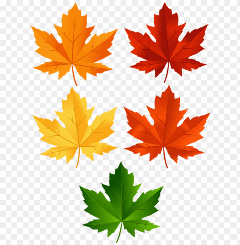 Free download | HD PNG autumn leaves set clipart png photo - 55015 | TOPpng
