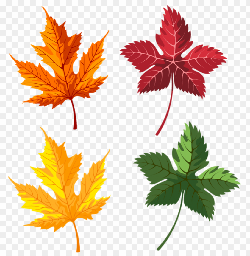 Free download | HD PNG autumn leaves set clipart png photo - 55017 | TOPpng