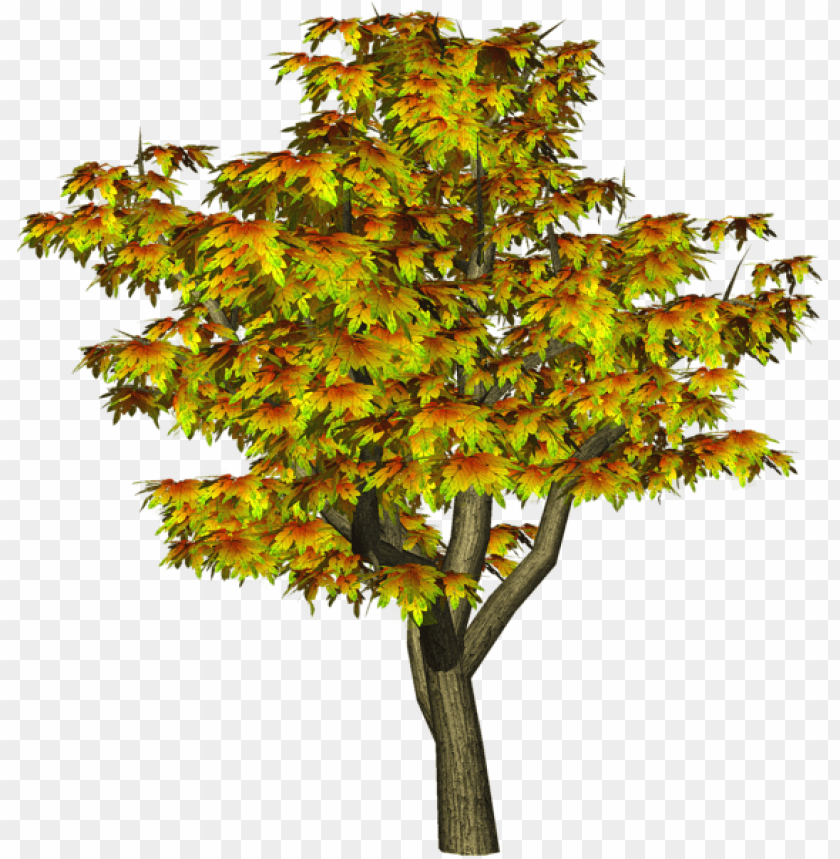 Free download | HD PNG PNG image of tree with vibrant green leaves with ...