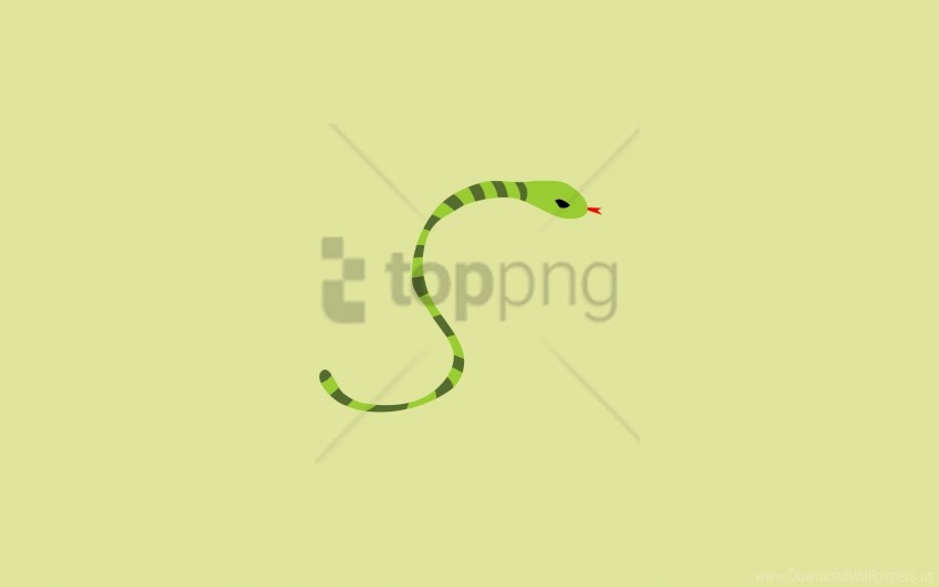 Free download | HD PNG background line minimalism snake wallpaper