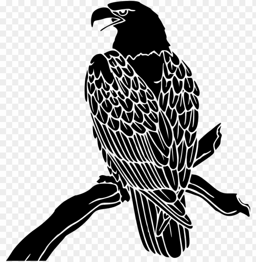 Free download | HD PNG bald eagle PNG transparent with Clear Background ...