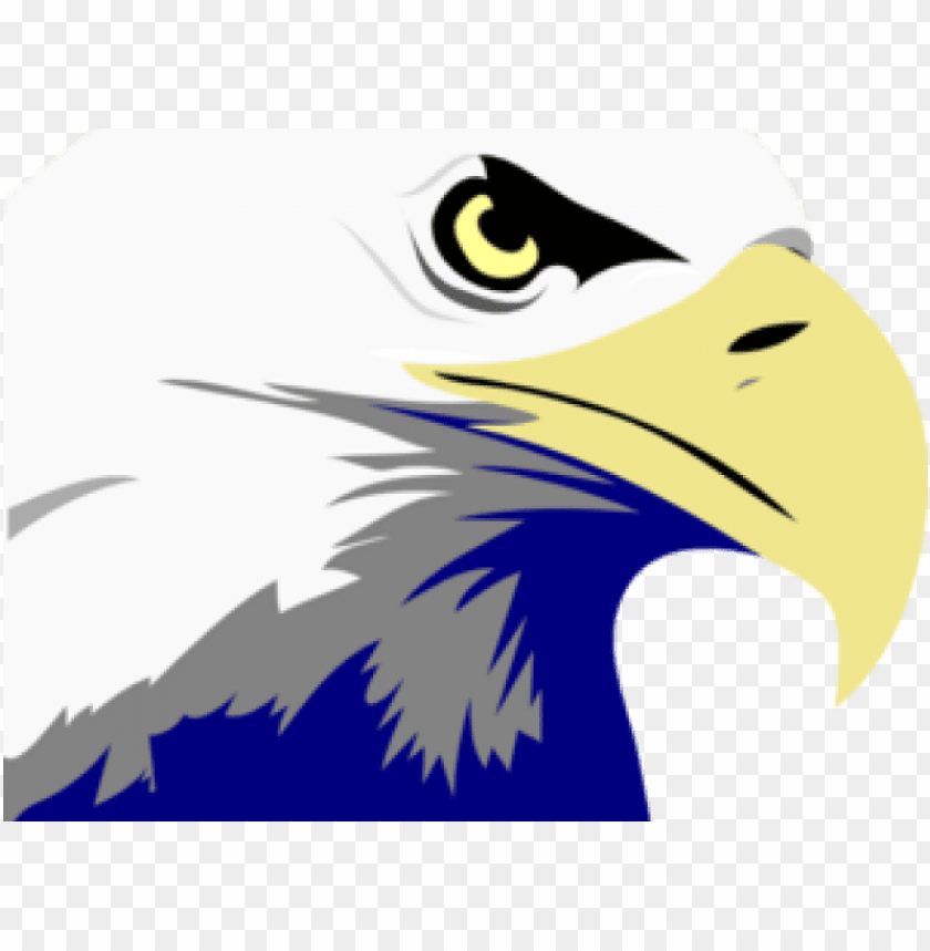 Free download | HD PNG bald eagle PNG transparent with Clear Background ...