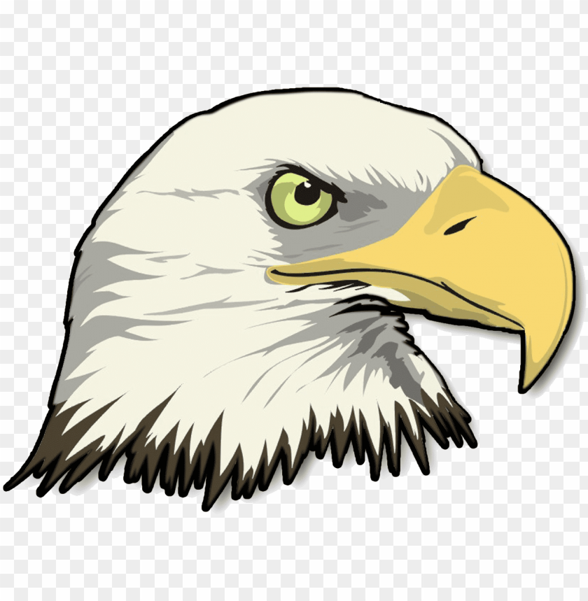 Free download | HD PNG bald eagle head PNG transparent with Clear ...