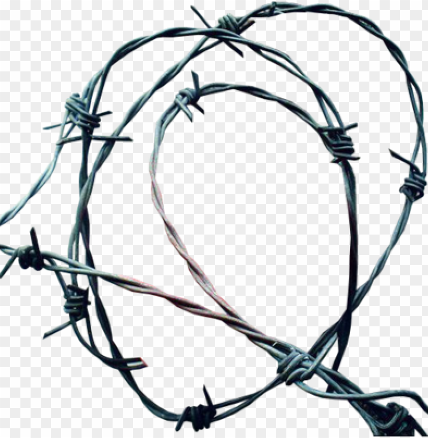 Free download | HD PNG barbwire png cutouts barb wire PNG transparent ...
