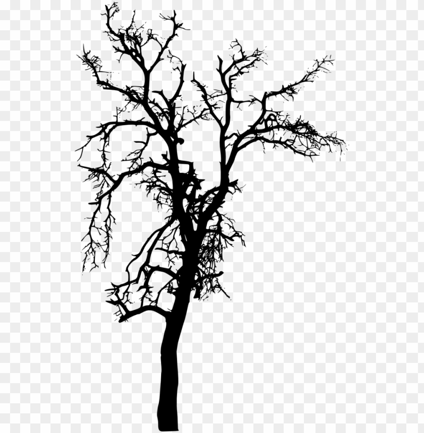 Sparse Branches Tree Png cutout PNG & clipart images TOPpng