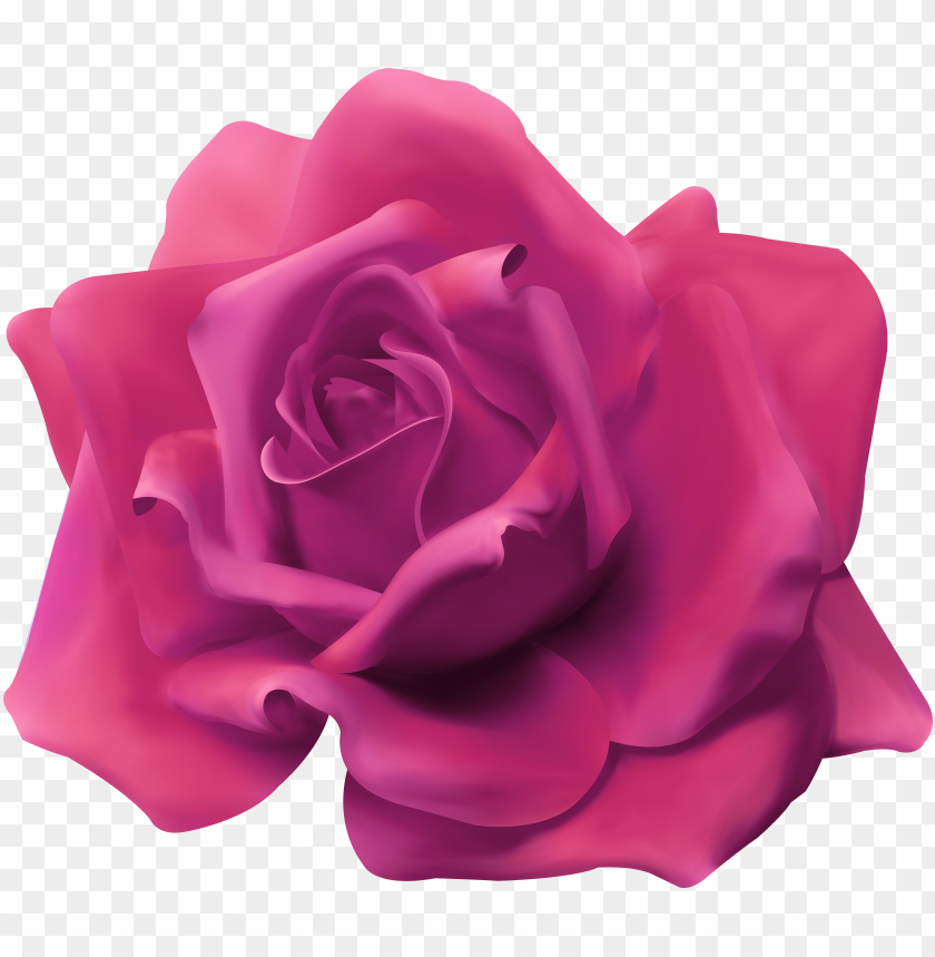 Free download | HD PNG beautiful rose pink PNG transparent with Clear ...