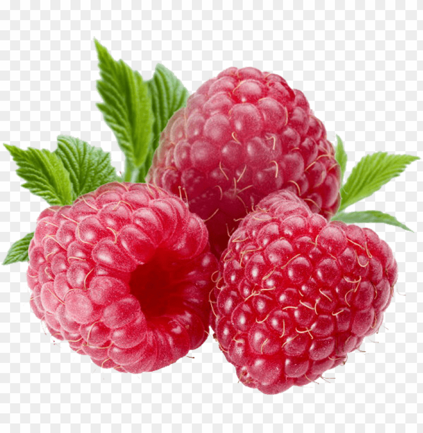 Free download | HD PNG berries png file png - Free PNG Images | TOPpng