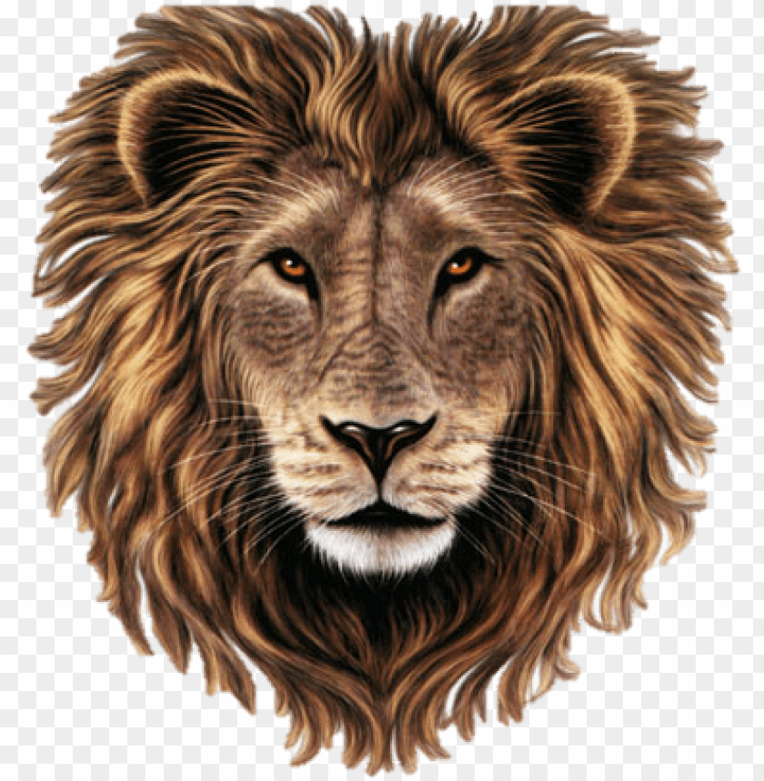 Download best free lion in png poem on lion in hindi png Free PNG