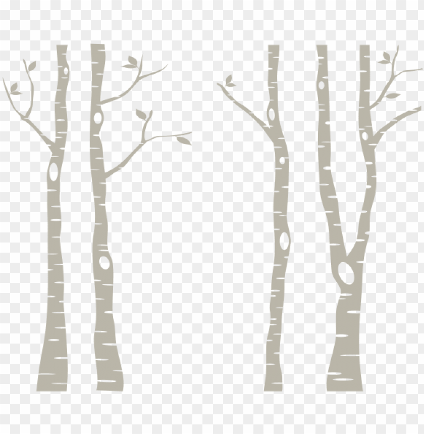 Free download | HD PNG birch trees png white birch trees PNG ...