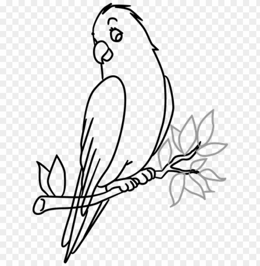 Bird In A Tree Drawing Png Image With Transparent Background Toppng