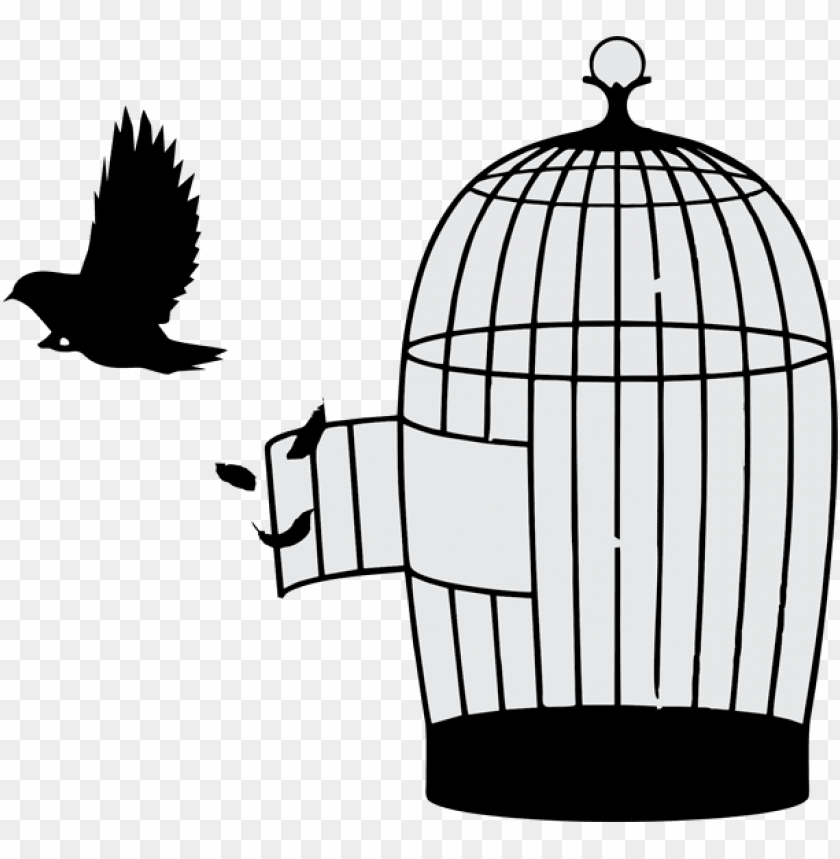 bird out of cage png image with transparent background toppng bird out of cage png image with