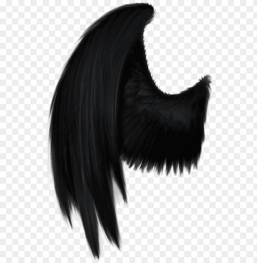 Free download HD PNG black angel wings png picture black angel wings