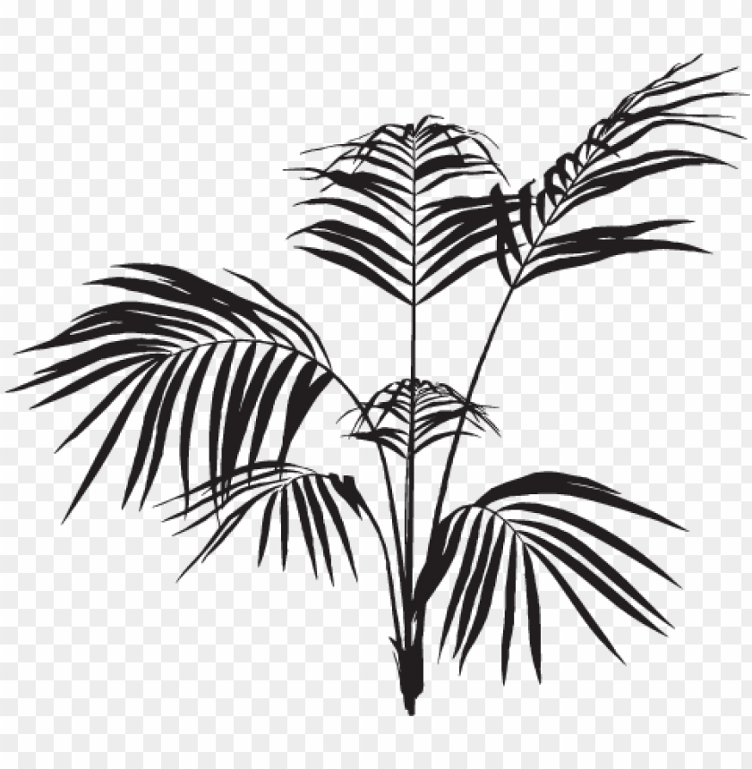 Free download | HD PNG black palm leaves PNG transparent with Clear ...