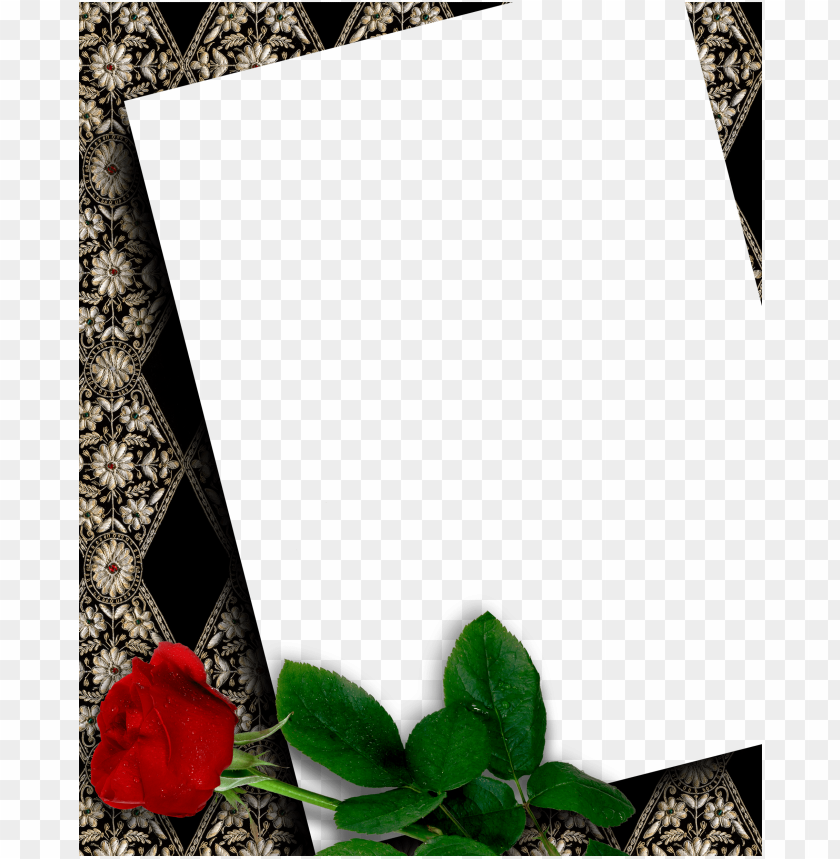 black transparent frame with beautiful red rose background best stock photos toppng black transparent frame with beautiful