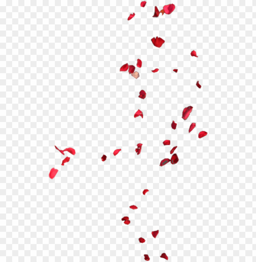 Blowing Rose Pedals Rose Leaves Flying Png Image With