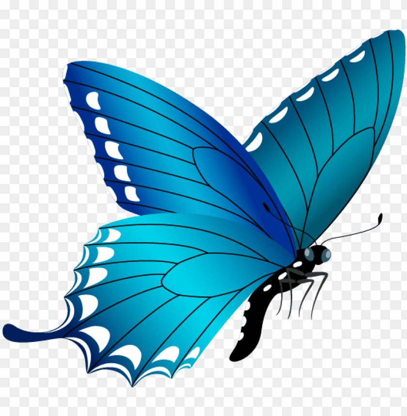 Featured image of post Transparent Glowing Butterfly Png In the large butterfly png gallery all of the files can be used for commercial purpose